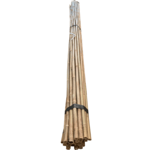 10' 26-28mm Bamboo Stakes