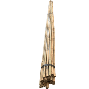12' 30-35mm Bamboo Stakes