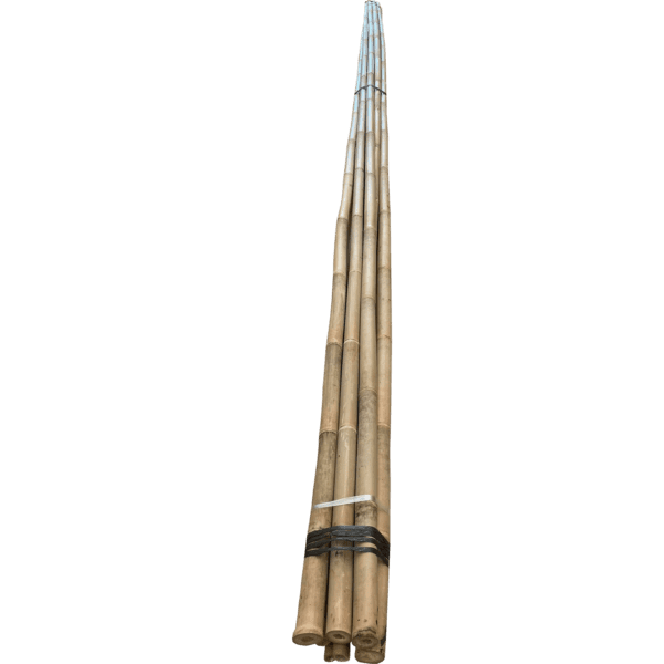 15' 35-40mm Bamboo Stakes