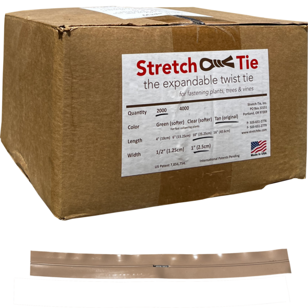 2000 pc Stretch Ties 10"x1" Tan