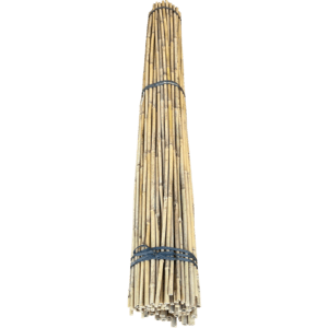 6' 15-17mm Bamboo Stakes