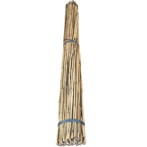 7' 15-17mm Bamboo Stakes