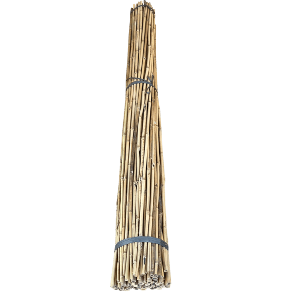 7' 15-17mm Bamboo Stakes