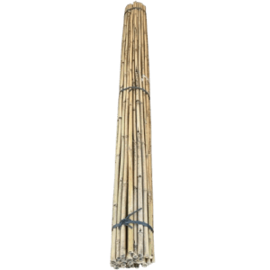8' 24-26mm Bamboo Stakes
